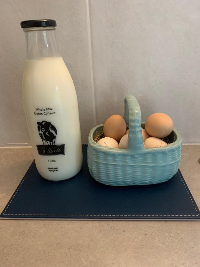 스완지 The Little Cow Shed 빌라 외부 사진